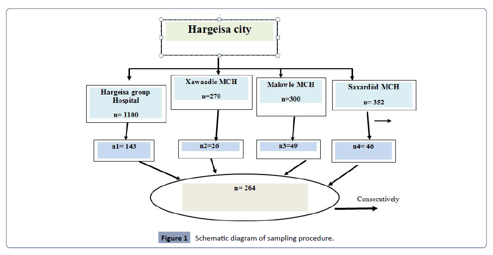 Health-Science-journal-Schematic